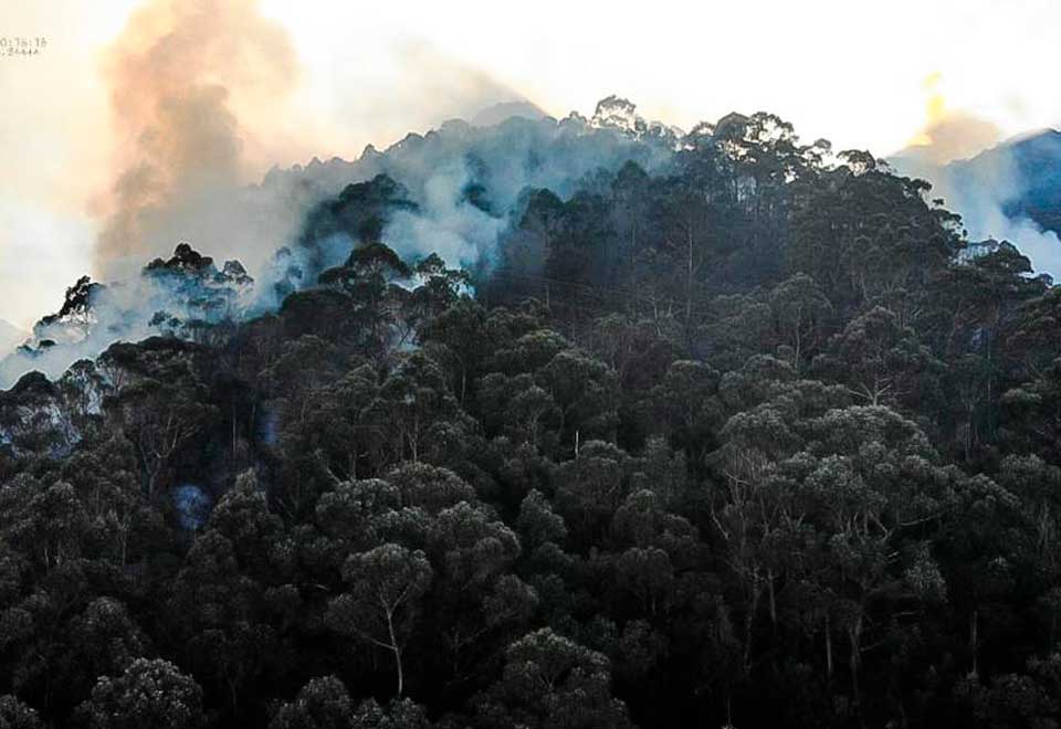 ¿Qué ha pasado con el incendio en los cerros orientales de Bogotá?