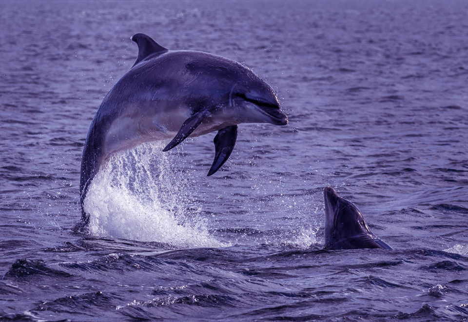 Compartiendo con la naturaleza