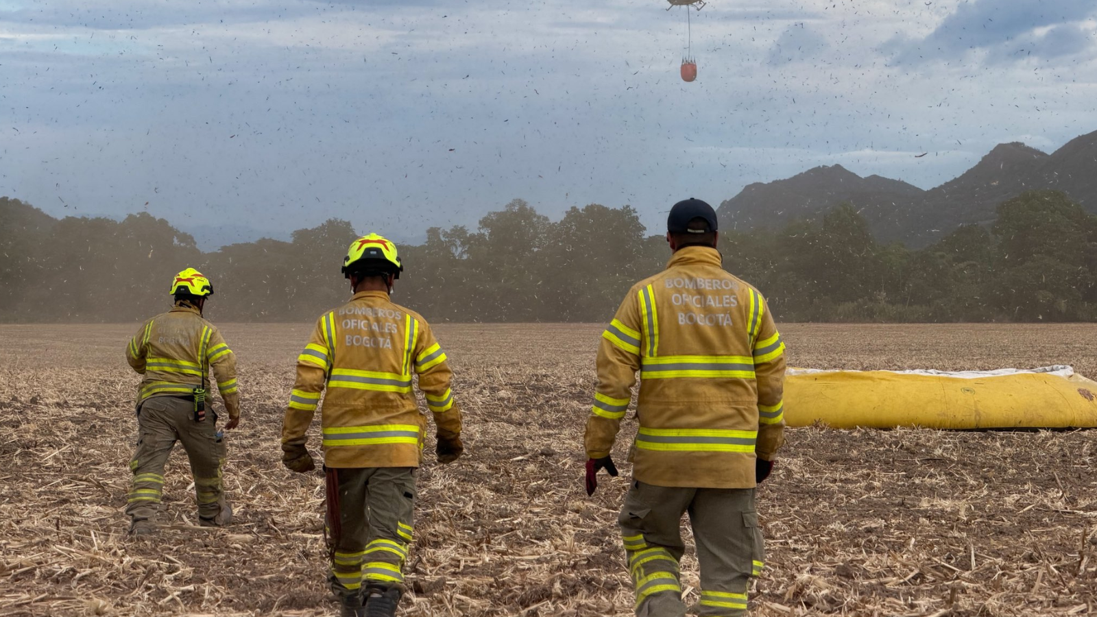 Ministerio de Ambiente pide extremar prevención ante incendios forestales