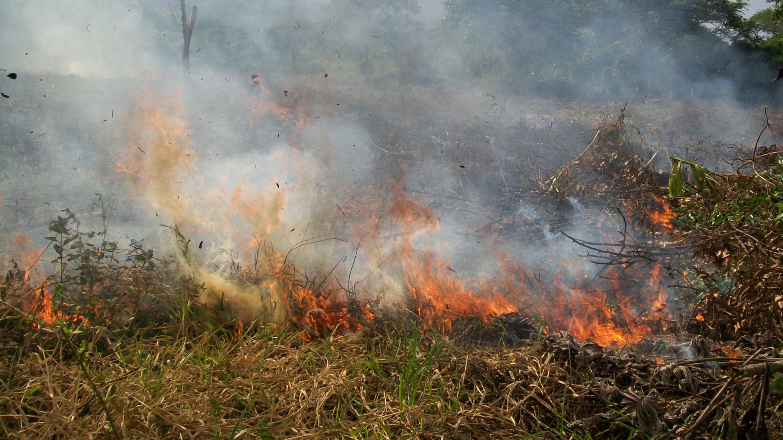 Colombia mantiene 15 incendios forestales activos