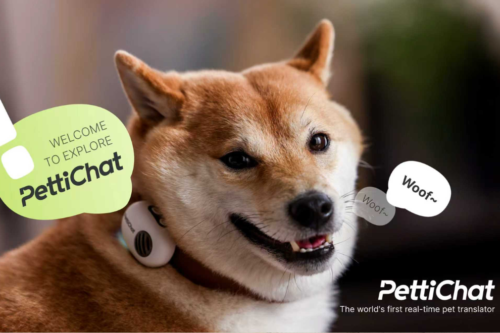 China lanza collar inteligente que promete “traducir” lo que sienten las mascotas