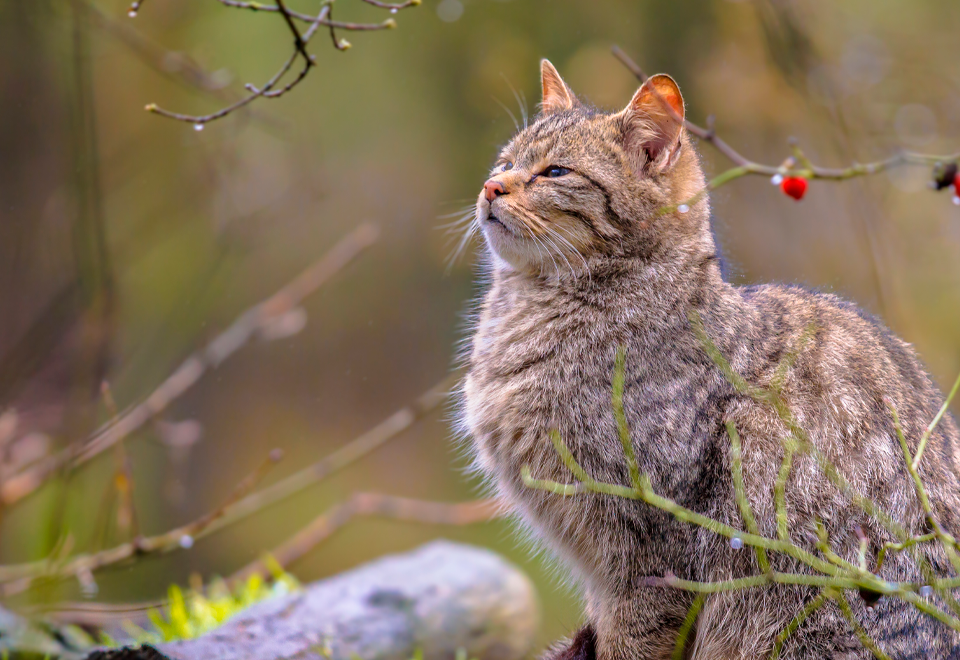 [Video] Alguien que explique esta imagen