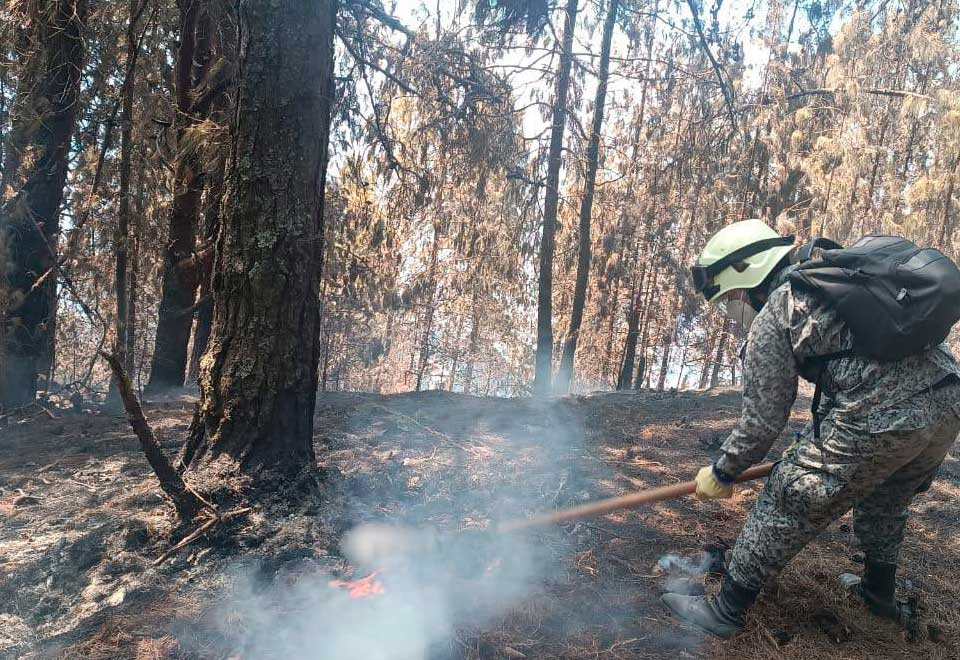 En este momento hay 12 incendios activos en Colombia