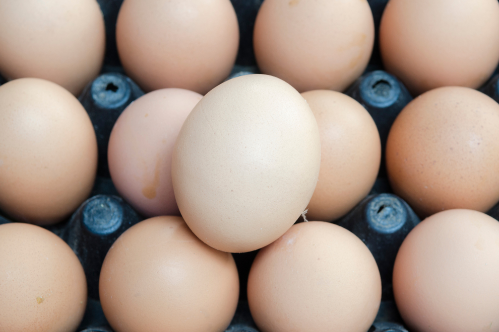 Sube el huevo y presiona el gasto de los hogares en Colombia