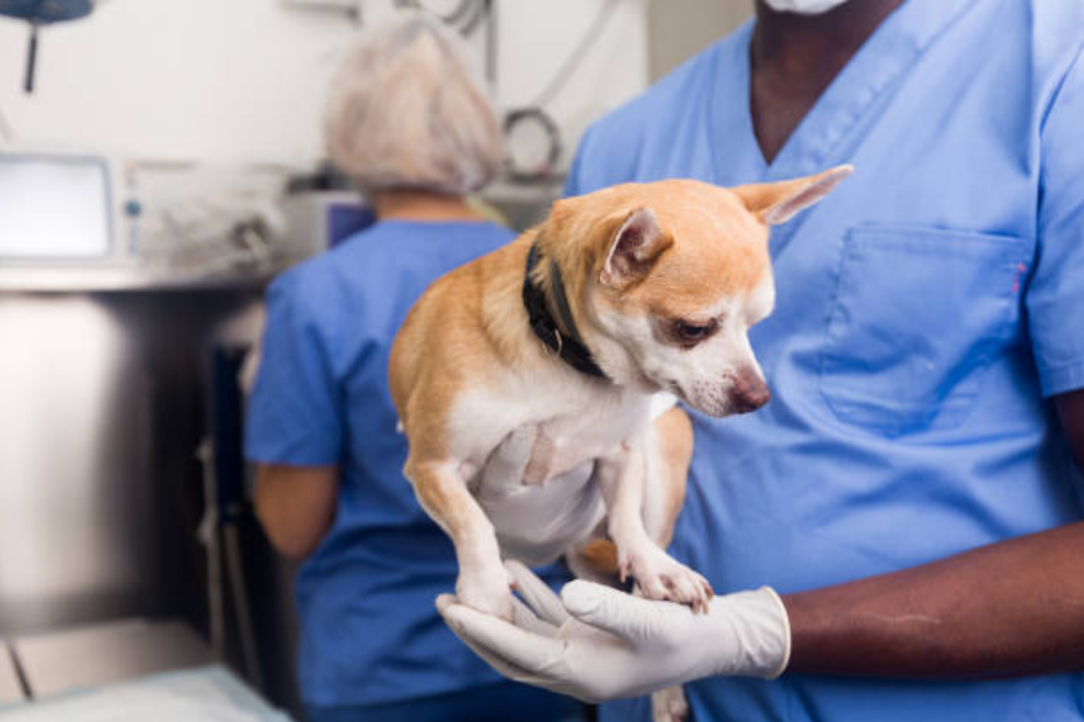 El Gobierno nacional puso en marcha el Programa Nacional de Esterilización Quirúrgica