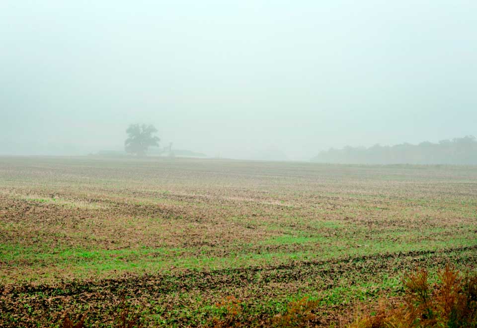 [Informa Cristalina] Sigue la alerta roja en Cundinamarca por deslizamientos de tierra en varios municipios
