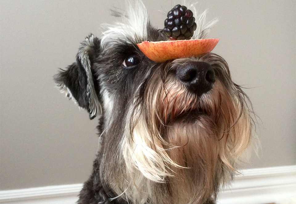 La importancia de un buen entrenamiento