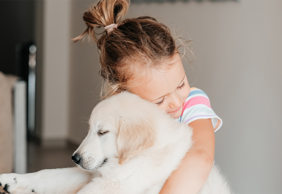 [Video] Un bebé de cuatro patas