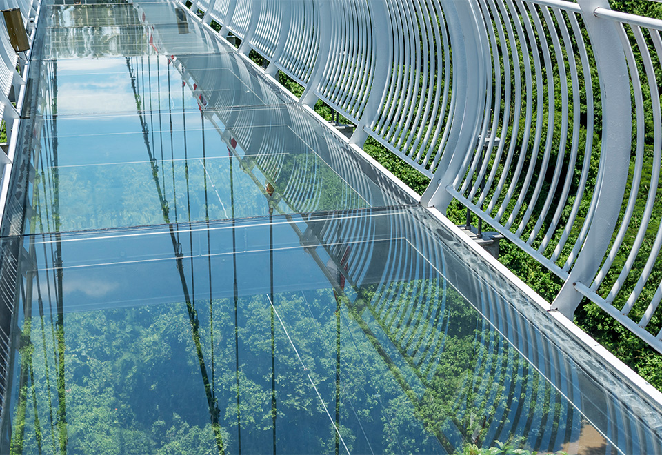 [Video] El susto de sus vidas