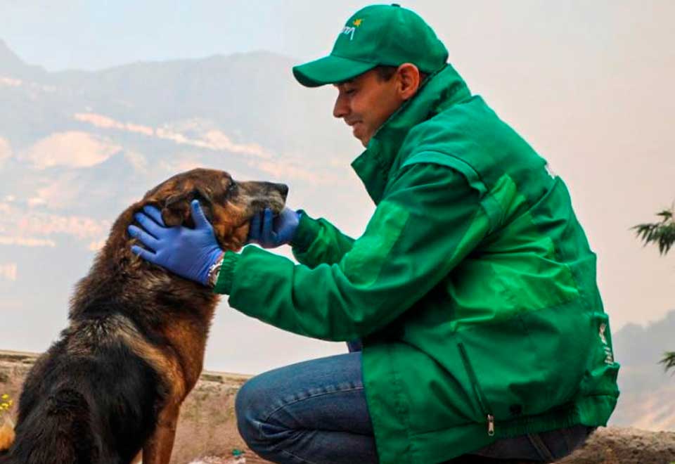La labor de Protección Animal para salvaguardar la vida de los animales en los incendios