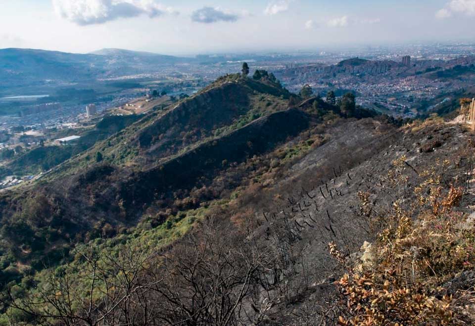 Las dos caras de los incendios en Colombia