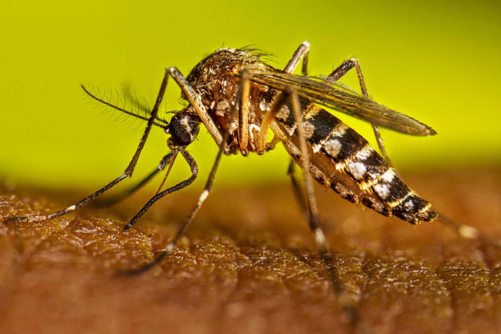 Cundinamarca activa cerco sanitario en plena temporada de viajes por brotes simultáneos