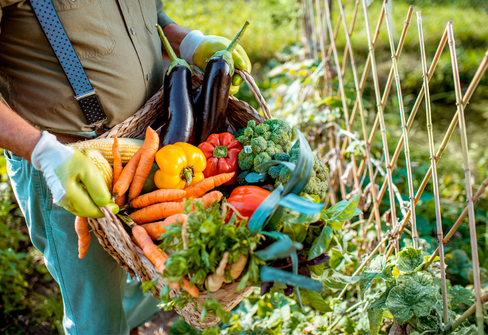 ¿Qué es el Horticultor y por qué celebra este día ?