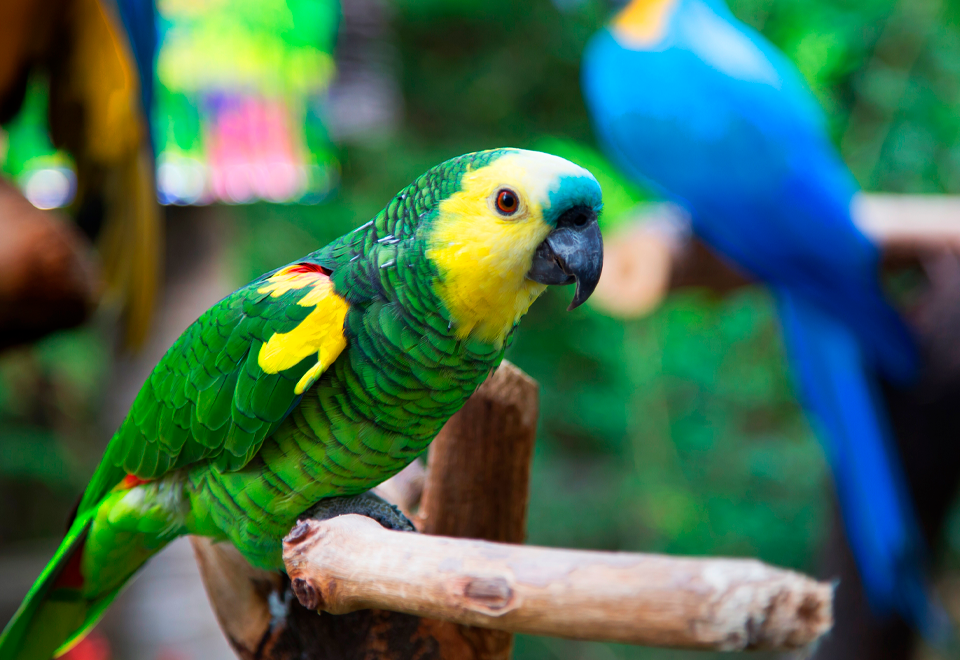 [Video] Cosas tiernas y esta