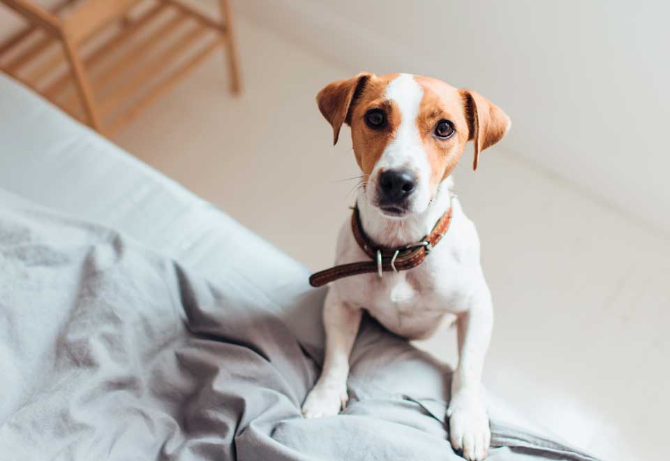 [Video] Una forma diferente de timbrar