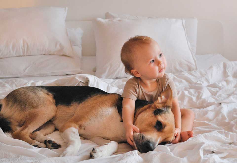 [Video]  Vean a estos dos jugando