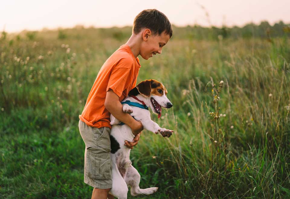 [Video] Vea el amor entre este perro y un niño