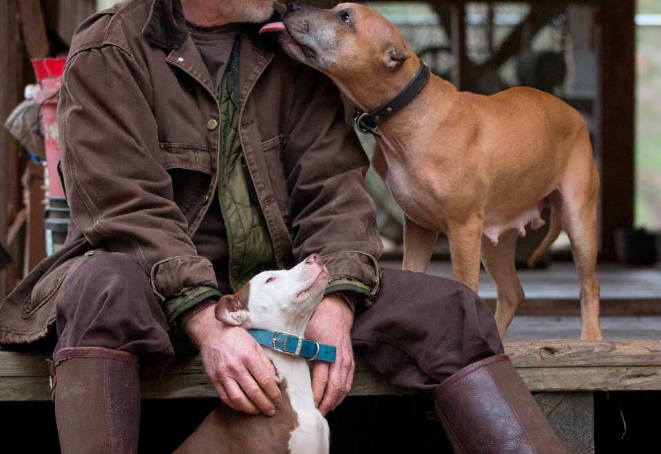 Hombre fue rescatado con sus cuatro perros en Brasil