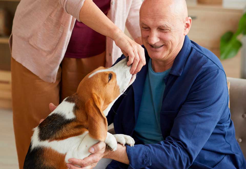 [Video] Par de perros hacen felices a uno adultos mayores