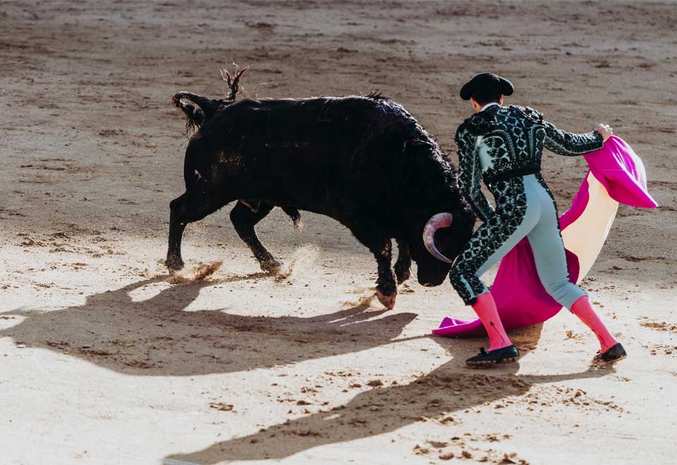 ¿Se acabaron las corridas de toros en Colombia?