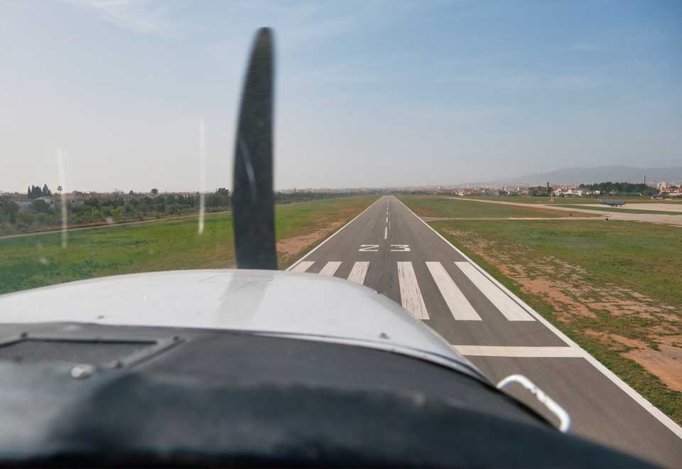 [Video] Perro disfrutando de un vuelo con su dueño